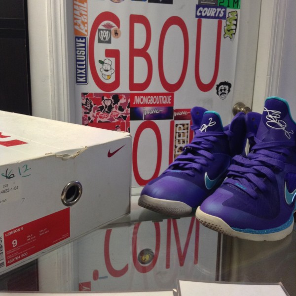2012 Lebron 9 Hornet Men
