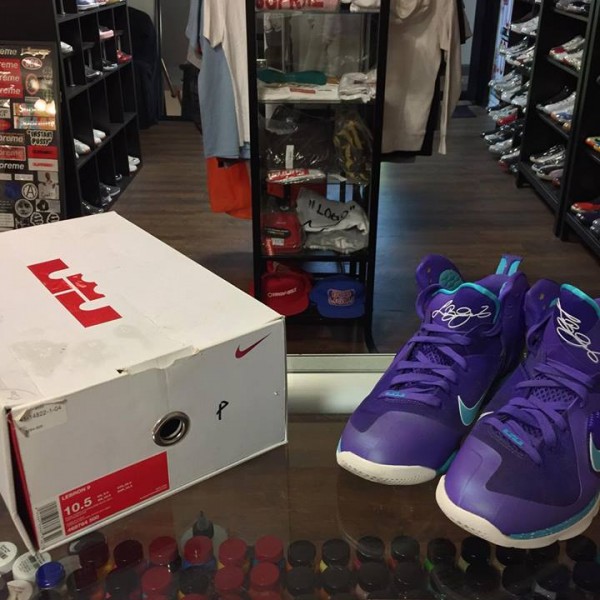 2012 Lebron 9 Hornet Men