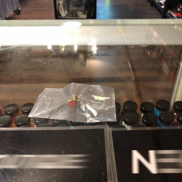 2018 Sup Ladybug Pin