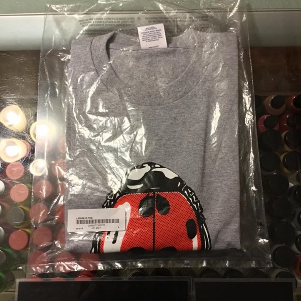 2018 Sup Ladybug Tee Heather Grey
