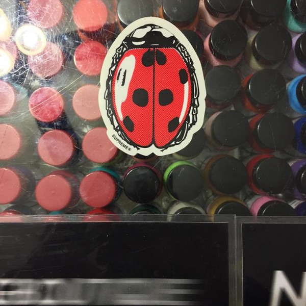 2018 Ladybug Sticker