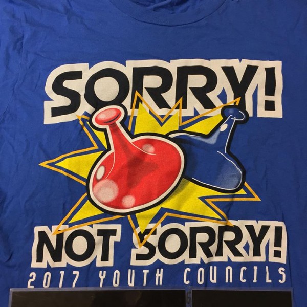 2017 Anvil Sorry Not Sorry Youth Councils Tee Blue