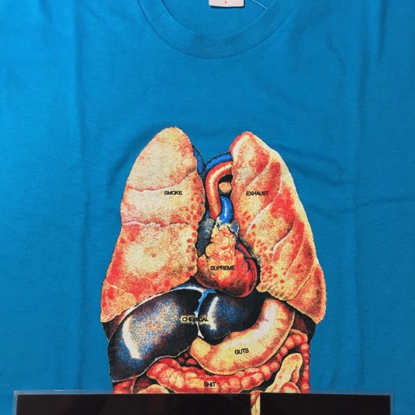 2018 Sup Guts Tee Bright Blue