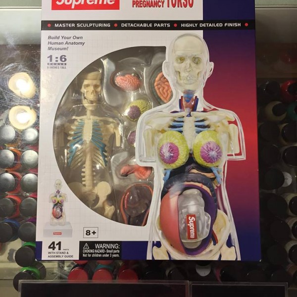 2018 Sup Transparent Pregnancy Torso Doll