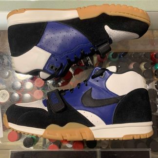 2019 Nike Air Trainer I SB Polar Skate Company No Box