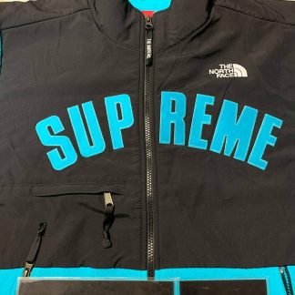 2019 Sup The North Face TNF Arc Logo Denali Fleece Jacket Teal