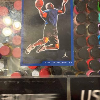 2000 Nike Air Jordan XI Concord Retro Card