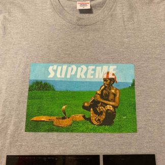 2013 Sup Snake Charmer Tee Heather Grey