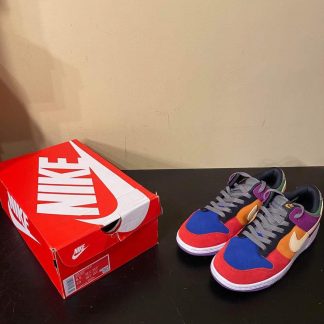 2019 Nike Dunk Low Retro Viotech Men Used