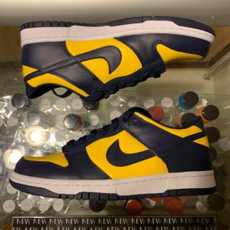 2021 Nike Dunk Low Michigan Youth