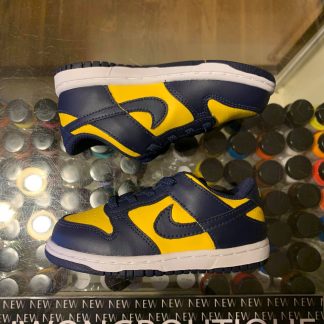 2021 Nike Dunk Low Michigan Toddler
