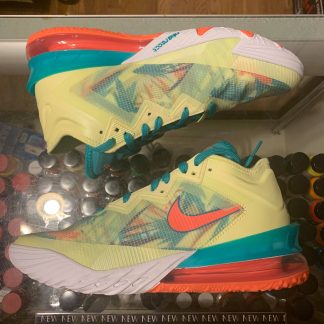 2021 Nike Lebron 18 Low LeBronald Palmer Men