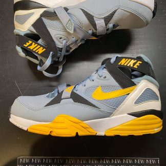 2010 Nike Air Trainer Max 91 Grey Stone Medium Yellow Men
