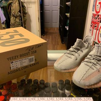 2019 Adidas Yeezy Boost 350 V2 True Form Men