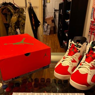 2017 Nike Air Jordan VI Gatorade Like Mike White