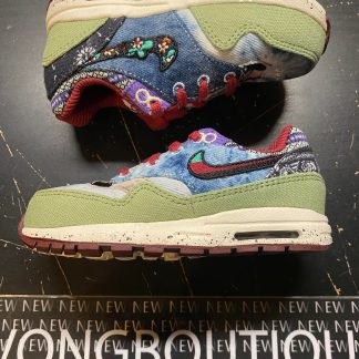 2022 Nike Air Max 1 SP Concepts Mellow Toddler