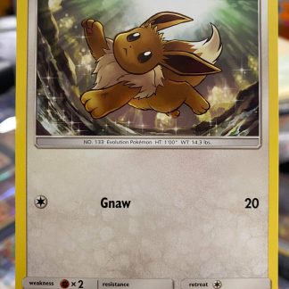 2019 Pokemon Eevee Hidden Fates 49 of 68 Near Mint