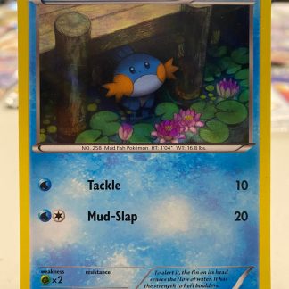 2014 Pokemon Mudkip Primal Clash Holo 33 of 160 Moderate Played