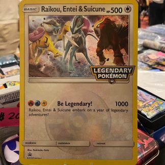2018 Pokemon Raikou, Entei & Suicune Legendary Pokemon Jumbo Card Mint