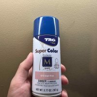 TRG Super Color Leather Spray 673 Shell Pink 3.77 OZ